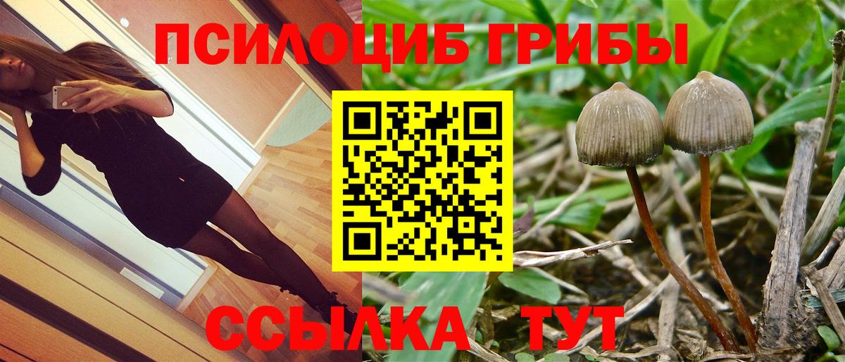 Галлюциногенные грибы мицелий Ржев