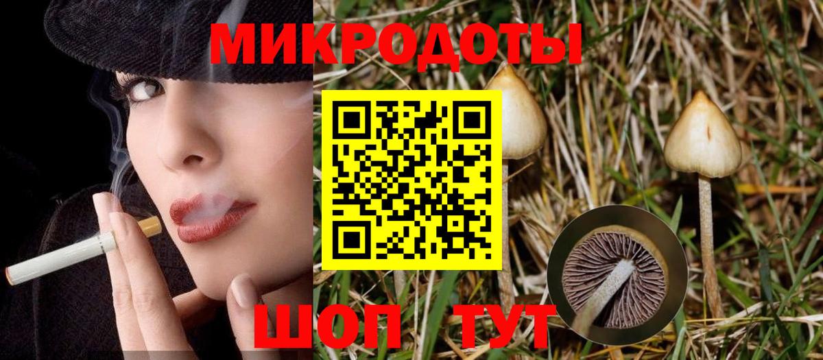 Ржев  Псилоцибиновые грибы ЛСД  Вход с VPN  Псилоцибиновые грибы мицелий 
